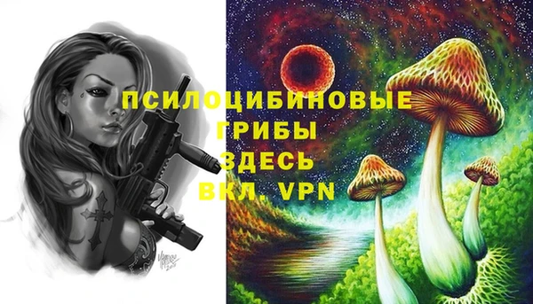 спиды Балабаново